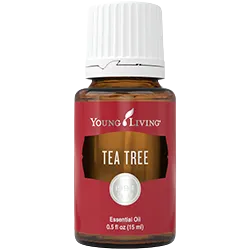 aceites esenciales españa